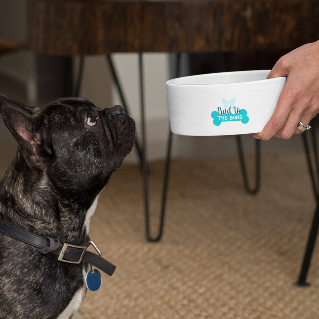 Why It’s Crucial for Dogs to Wear a Leash: A Must for Every Responsible Pet Owner