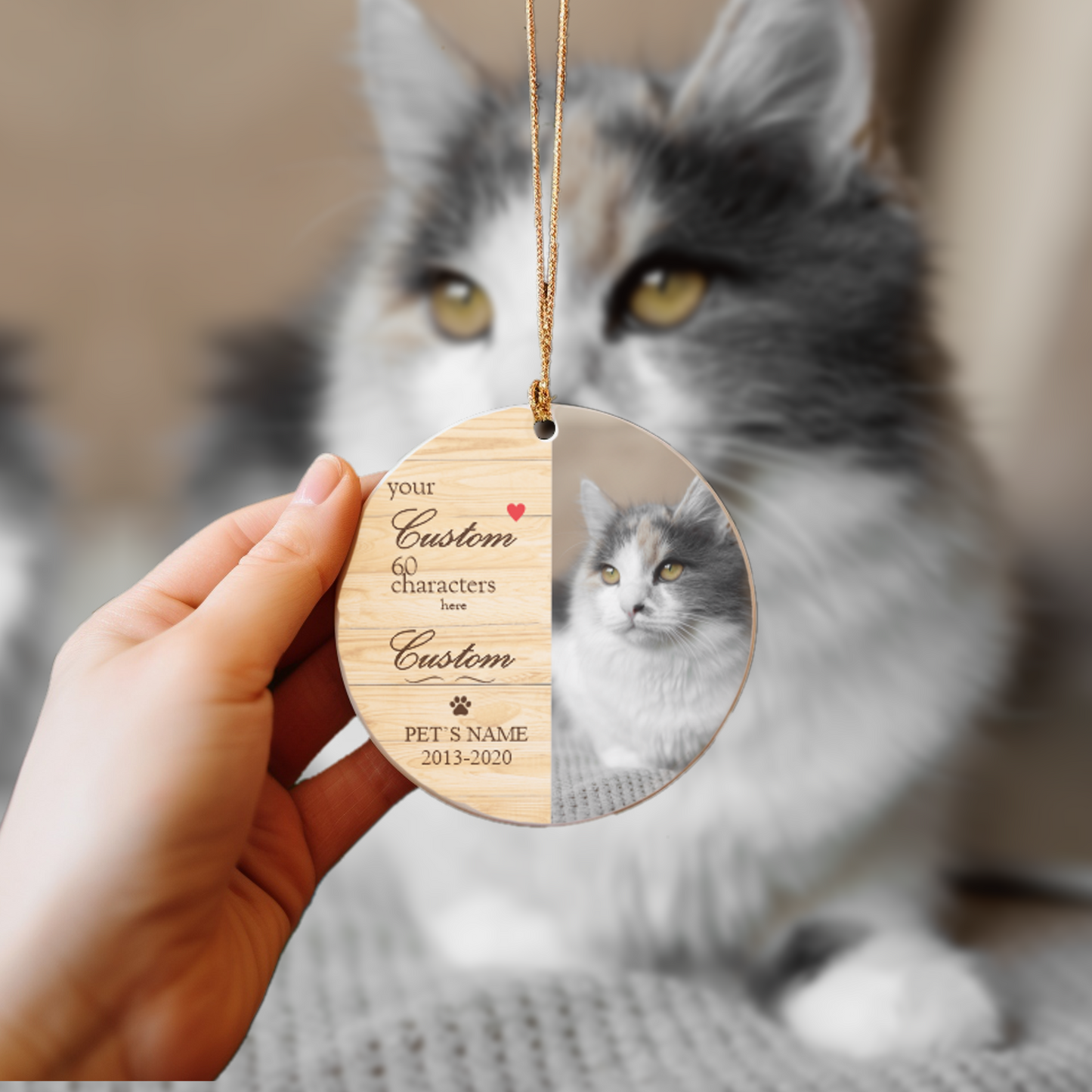 Personalized Pet Ornament, Memorial Gift for Deceased Pets