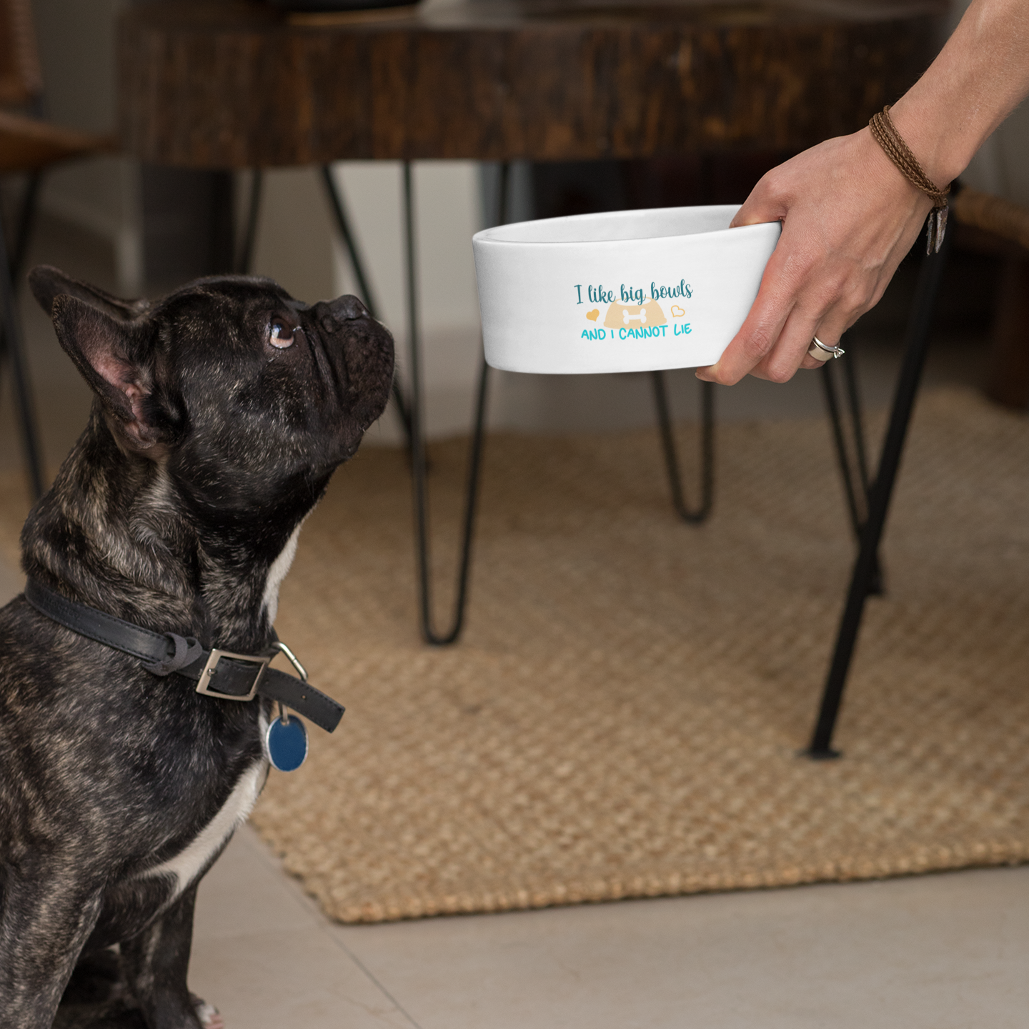 Pet Bowl with Quote I Like Big Bowls and I Cannot Lie