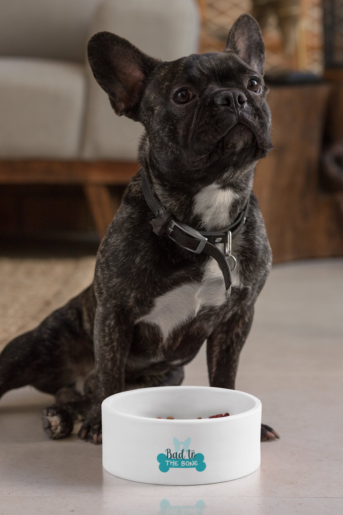Pet Bowl - Bad to the Bone Frenchies Bulldog Quote