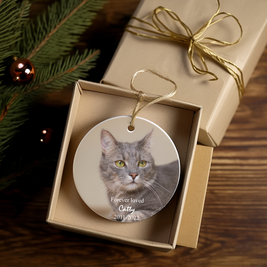 Custom Ornament for Pet Memorial