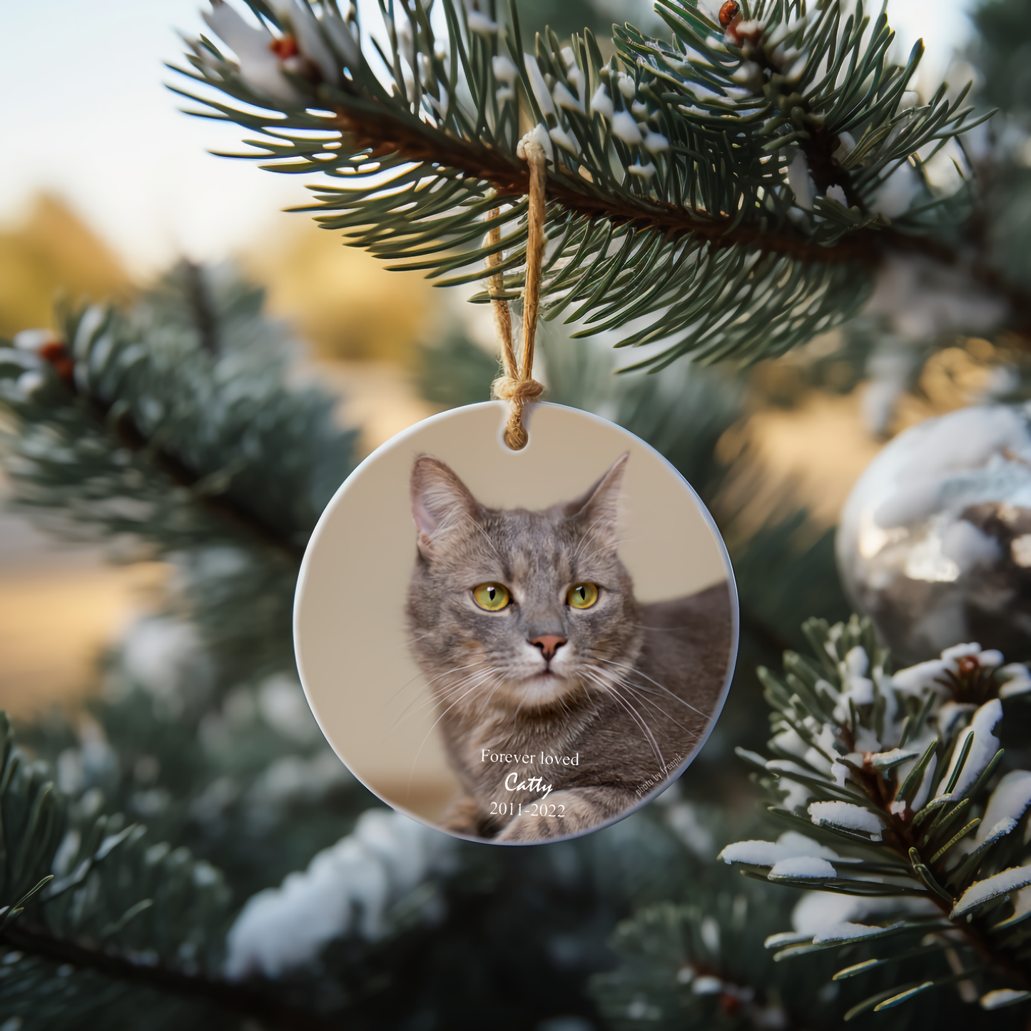 Custom Ornament for Pet Memorial
