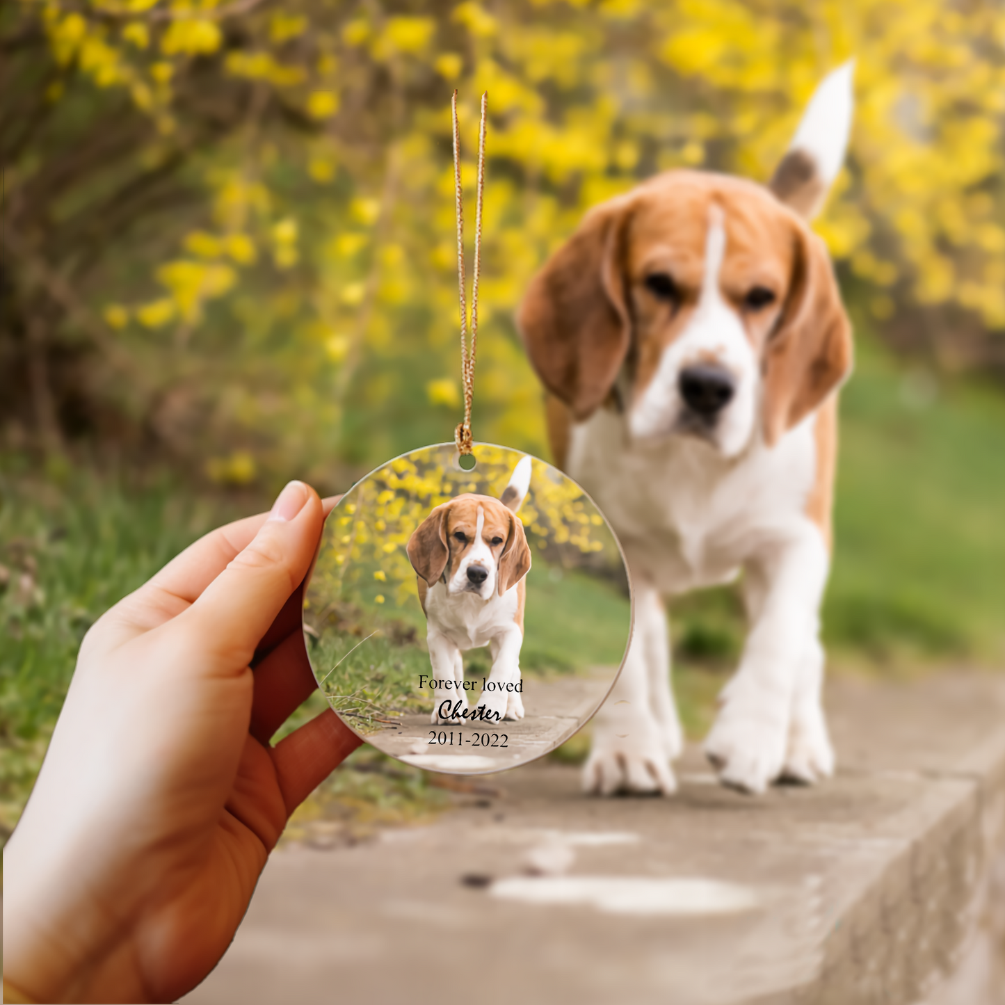 Custom Ornament for Pet Memorial