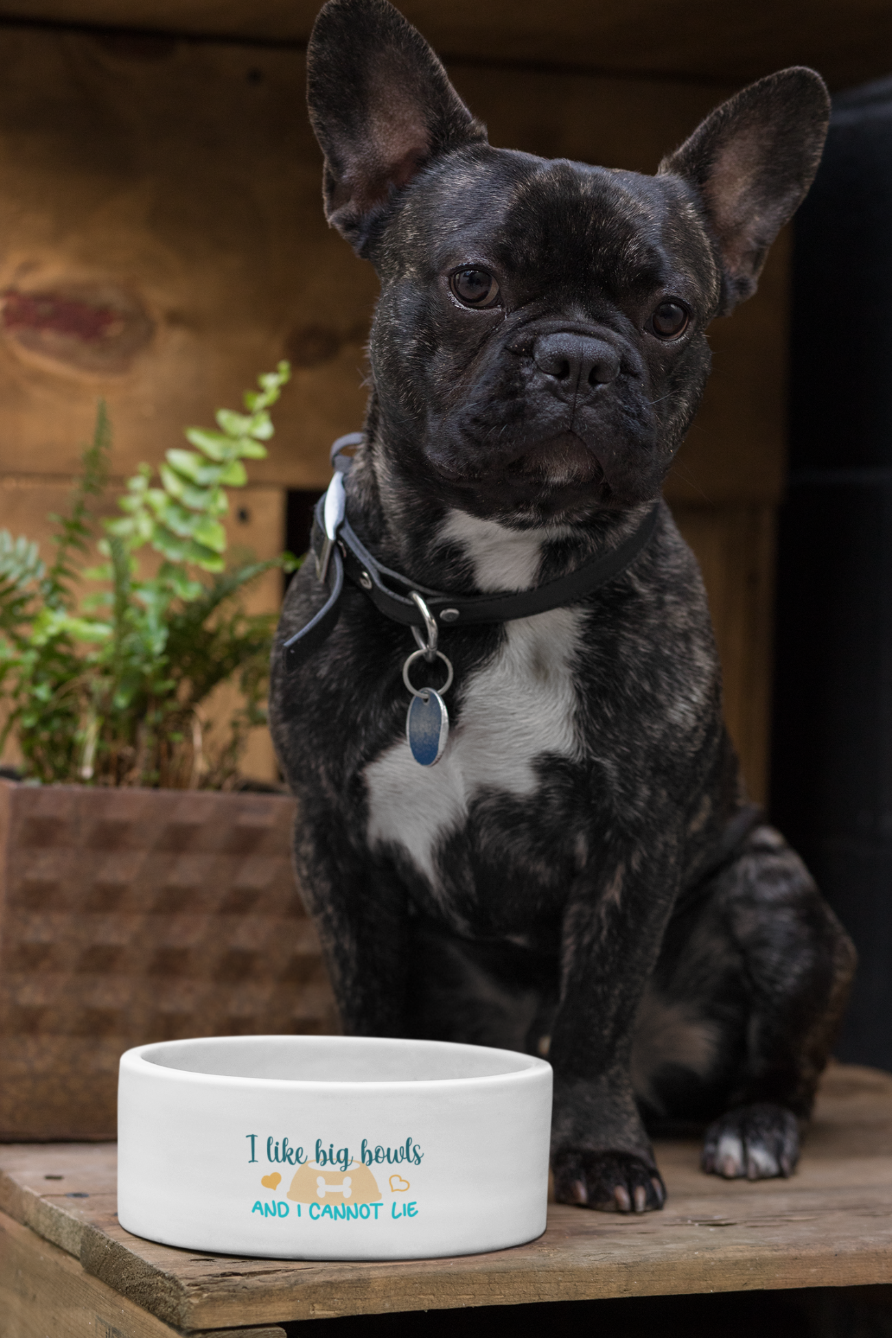 Pet Bowl with Quote I Like Big Bowls and I Cannot Lie
